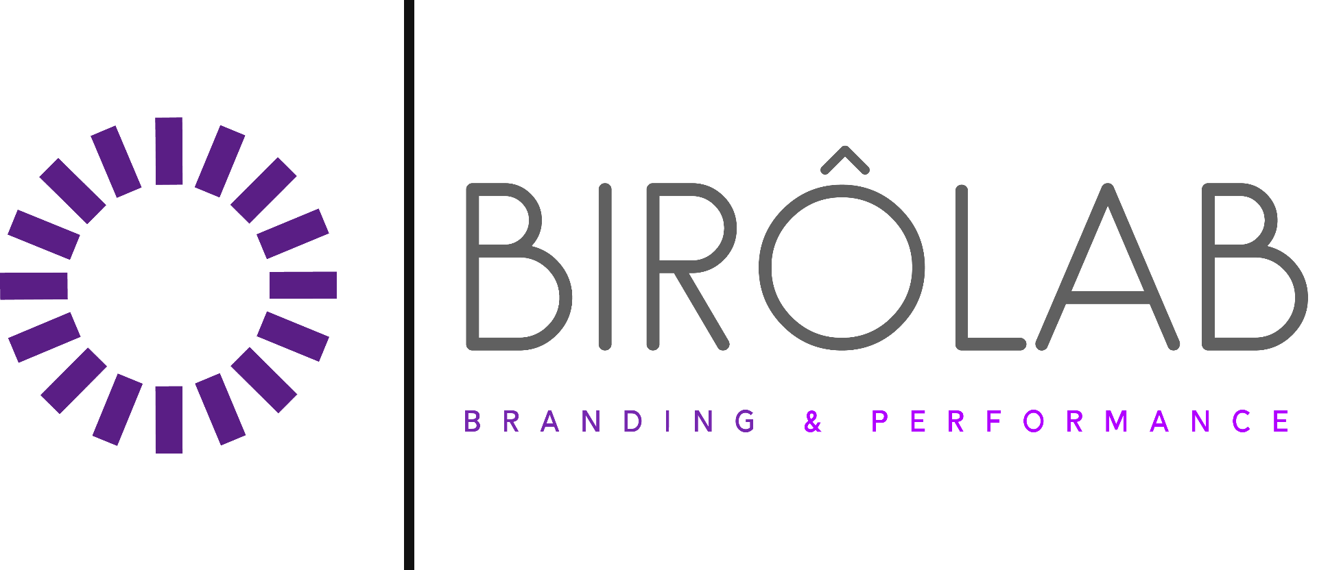 Biro Lab logo